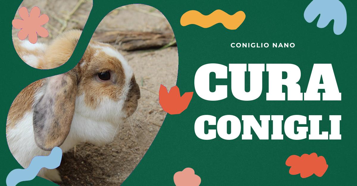 Scopri cosa piace molto ai conigli, dalla dieta ideale ai cibi preferiti come frutta e pellet. Ottieni consigli su come nutrire il tuo coniglietto per mantenerlo felice e in salute. Informazioni utili per gli amanti dei conigli domestici.