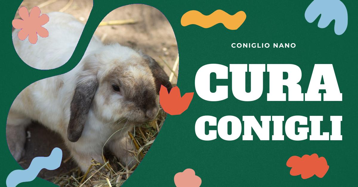 Scopri cosa piace ai conigli in termini di cibo, ambiente e giochi. Trova consigli su come fornire la dieta ideale per il tuo coniglio, quali alimenti sono fondamentali e quali evitare, l
