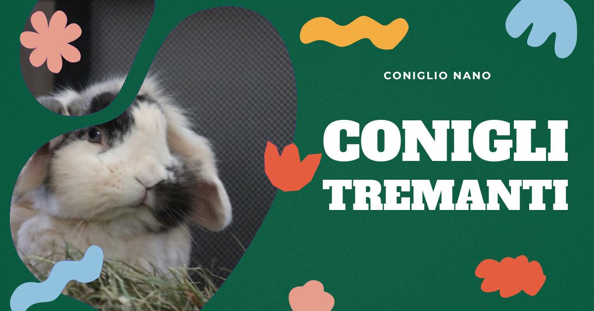 Scopri cosa significa quando il tuo coniglio nano trema. Trova le possibili cause e cosa fare in queste situazioni. Ottieni informazioni dettagliate e consigli utili per capire meglio il comportamento del tuo coniglio domestico.
