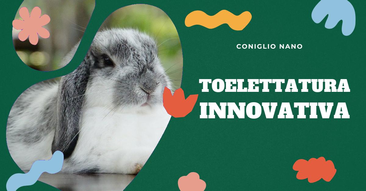 Scopri le soluzioni all