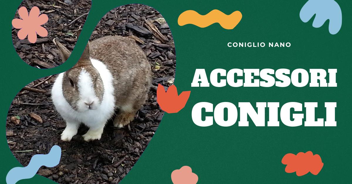 Scopri le ultime tendenze negli accessori per conigli. Trova informazioni aggiornate su nuovi giocattoli, gabbie, cibo e molto altro per il tuo amato coniglio. Ideale per appassionati di conigli domestici e rivenditori di prodotti per animali domestici.