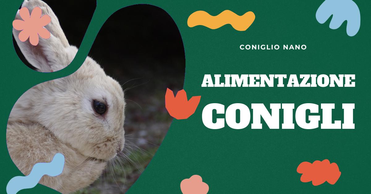 Scopri le migliori piante commestibili per conigli, le erbe sicure per la loro dieta e i benefici dell