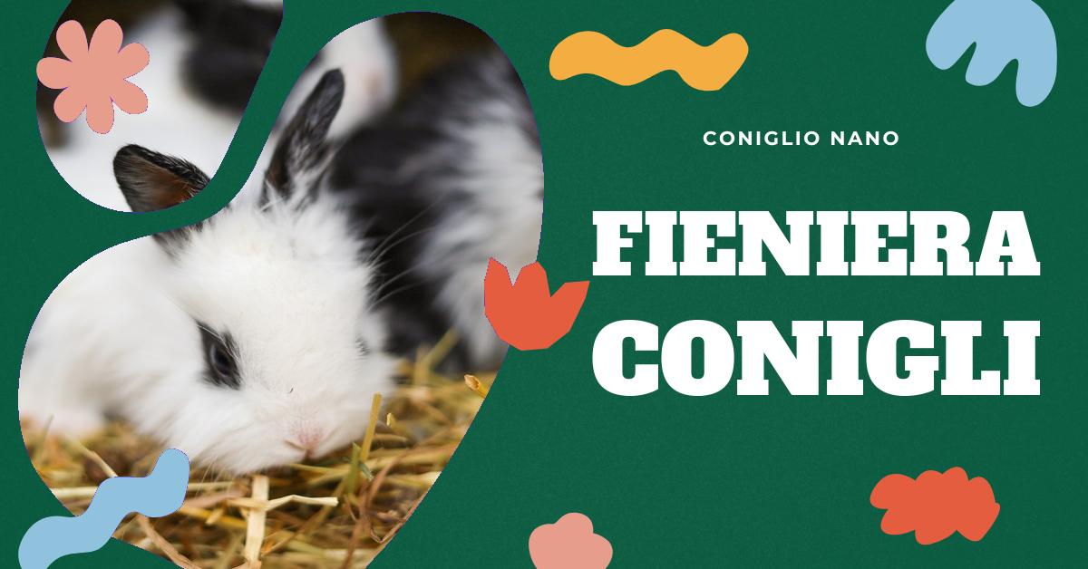 Scopri la fieniera in legno naturale per conigli, perfetta per mantenere il fieno pulito e facilmente accessibile. Leggi le recensioni dei clienti e approfitta della spedizione veloce. Trova anche prodotti correlati e tutte le informazioni che ti servono per fare la scelta giusta.