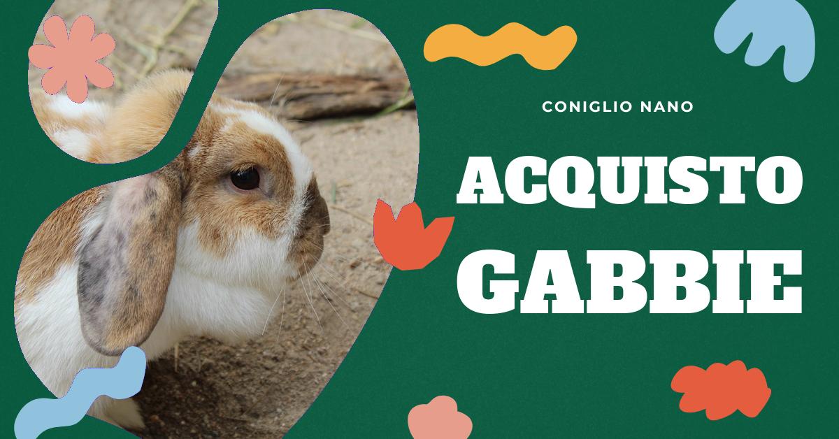 Scopri come scegliere la gabbia per conigli esterno perfetta per il tuo amico peloso. Trova consigli su materiali, allestimento e manutenzione per garantire un ambiente sicuro e confortevole per i tuoi conigli all