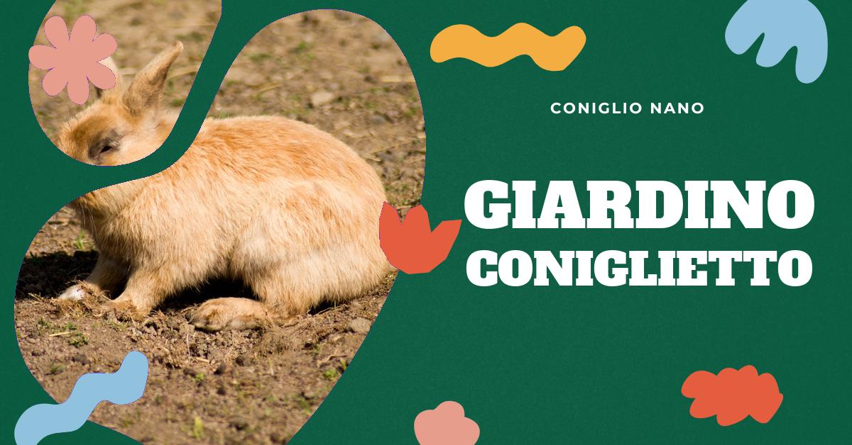 Scopri come creare un giardino sicuro e stimolante per il tuo coniglio nano all