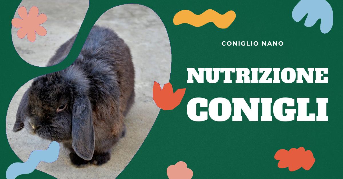Scopri idee innovative per la nutrizione dei tuoi conigli domestici. Trova consigli su come variare la loro dieta, migliorare le pratiche di alimentazione e prevenire problemi di salute. Perfetto per gli amanti dei conigli che cercano di offrire il meglio ai loro amici pelosi.