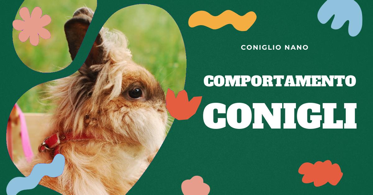 Scopri se i conigli capiscono i baci e come dimostrare affetto a questi adorabili animali domestici. Approfondisci come capire se il tuo coniglio ti vuole bene e curiosità sul mondo animale. Informazioni utili per gli amanti dei conigli.