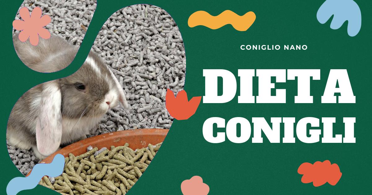 Scopri se i conigli possono mangiare il pane e perché potrebbe essere dannoso per loro. Trova consigli sulla corretta alimentazione dei conigli e su come mantenere sani i loro denti. Ottieni informazioni sui rischi derivanti dall