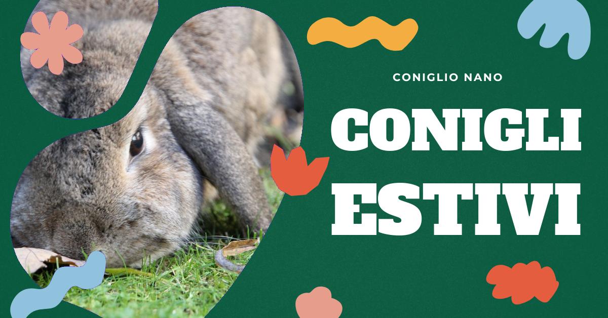Scopri come i conigli reagiscono al caldo estremo, i sintomi di disidratazione e colpo di calore, e come proteggerli. Trova consigli utili e rimedi naturali per rinfrescare i tuoi conigli durante l
