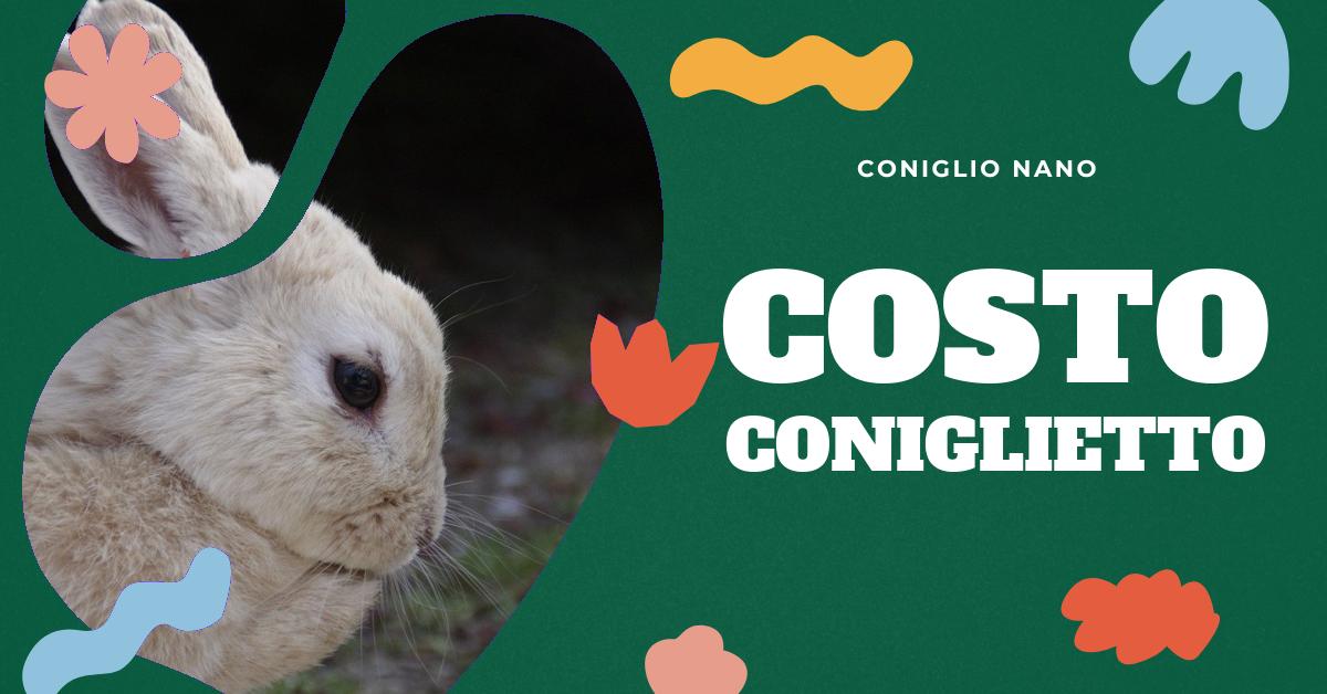 Scopri quanto costa un coniglio nano e quali sono i costi associati alla sua cura. Approfondisci le diverse razze di conigli nani, le loro dimensioni e il loro comportamento. Impara come allevare un coniglio nano in modo corretto. Informazioni utili per gli amanti dei conigli domestici.