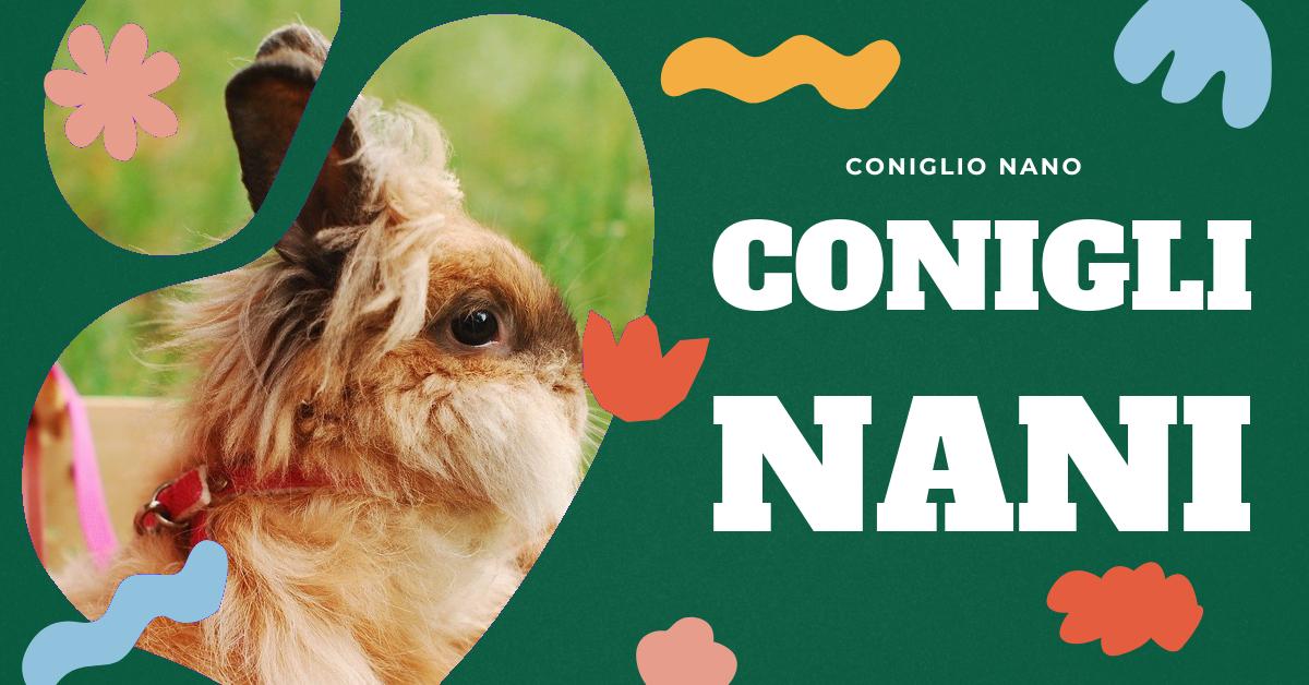 Scopri tutto sul coniglio nano: dalle diverse razze alle sue dimensioni, dal comportamento alla sua alimentazione. Trova informazioni dettagliate sul prezzo, il peso e l