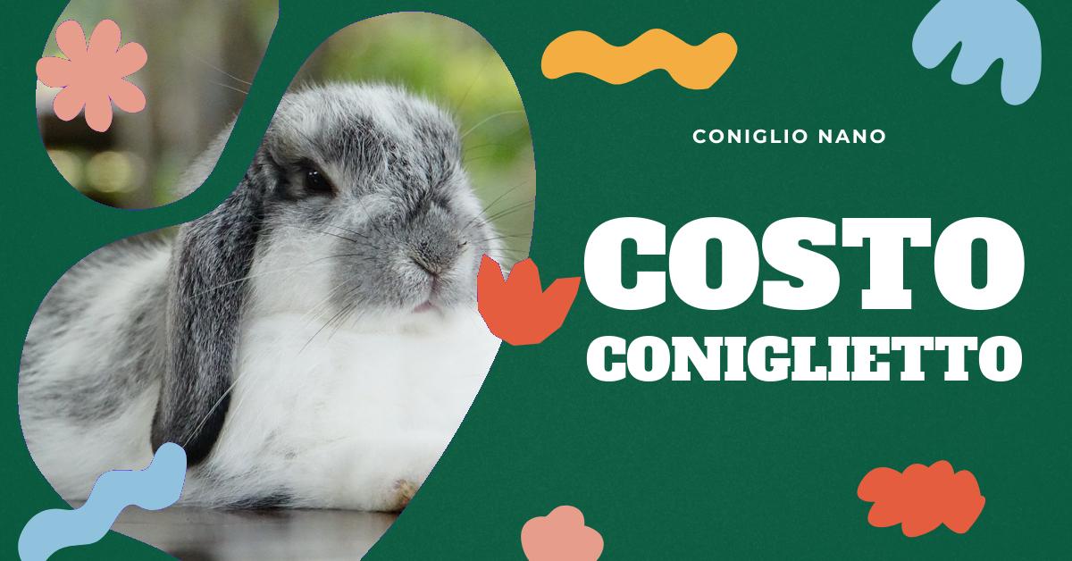 Scopri tutto sul prezzo del coniglio nano, le diverse razze e le loro dimensioni. Approfondisci il comportamento di questi adorabili animali domestici e come allevare un coniglio nano. Informazioni utili per gli amanti dei conigli domestici.