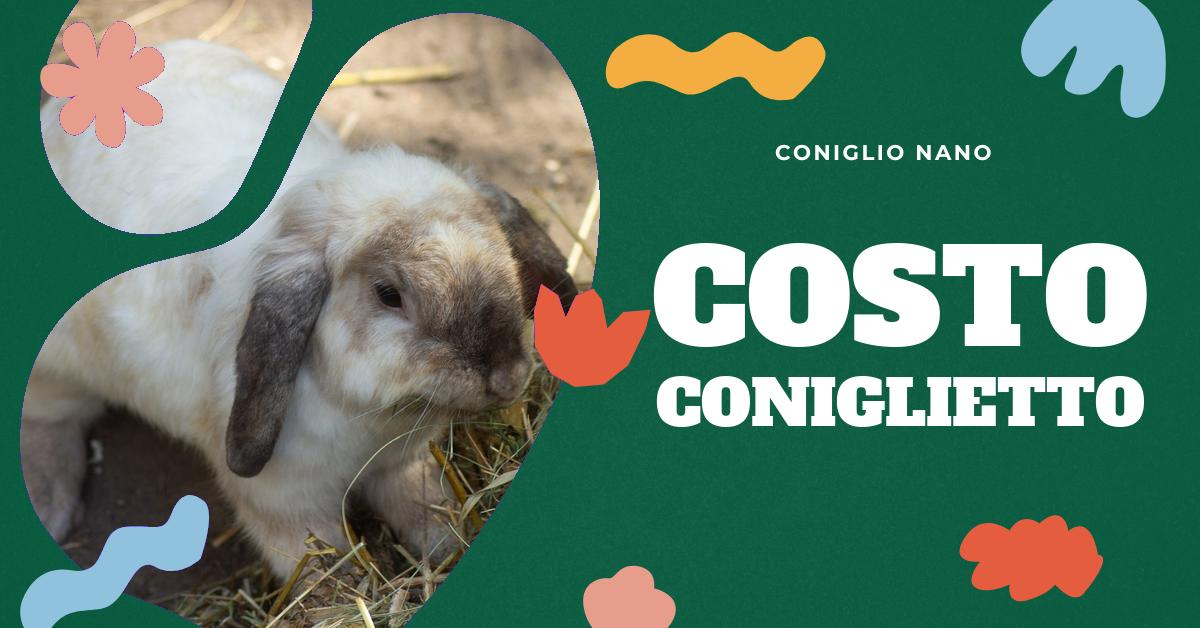 Scopri tutto sul coniglio nano e il suo costo. Trova informazioni dettagliate sulle diverse razze, le loro dimensioni, il loro comportamento e come allevare un coniglio nano. Ottieni una stima dei costi iniziali e di mantenimento per aiutarti a pianificare il tuo nuovo amico peloso.