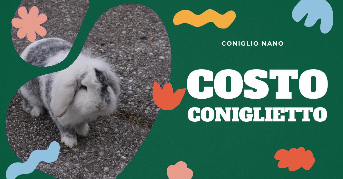 Scopri quanto può costare un coniglio nano, le diverse razze e le loro dimensioni. Approfondisci il comportamento dei conigli nani e come allevare al meglio il tuo piccolo amico. Informazioni utili per gli amanti dei conigli domestici.