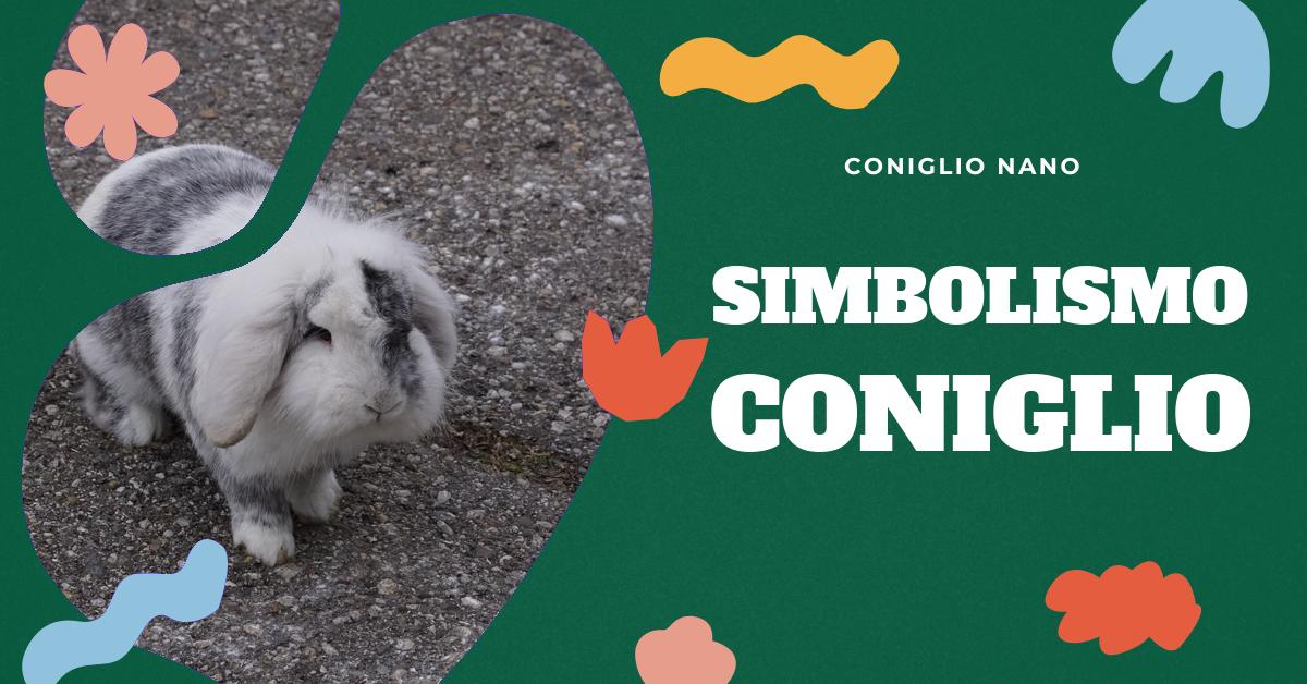 Scopri il significato del coniglio in diverse culture e religioni, il suo simbolismo nei sogni e come totem animale. Approfondisci il ruolo del coniglio come simbolo di fertilità, fortuna e Pasqua. Esplora la presenza del coniglio nella storia, nelle arti e nelle leggende orientali.