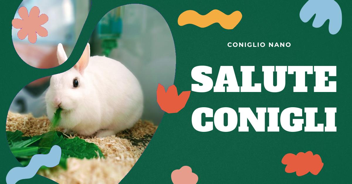 Scopri le possibili cause e rimedi quando il tuo coniglio non mangia. Informazioni su sintomi, riconoscimento del blocco intestinale, patologie correlate e cure per stimolare l