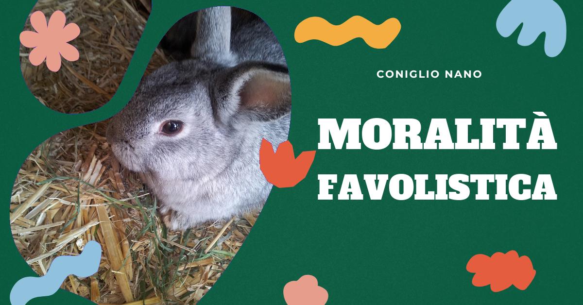 Scopri la morale della favola il coniglio e Il Re Leone. Analizza il coraggio del coniglio, l