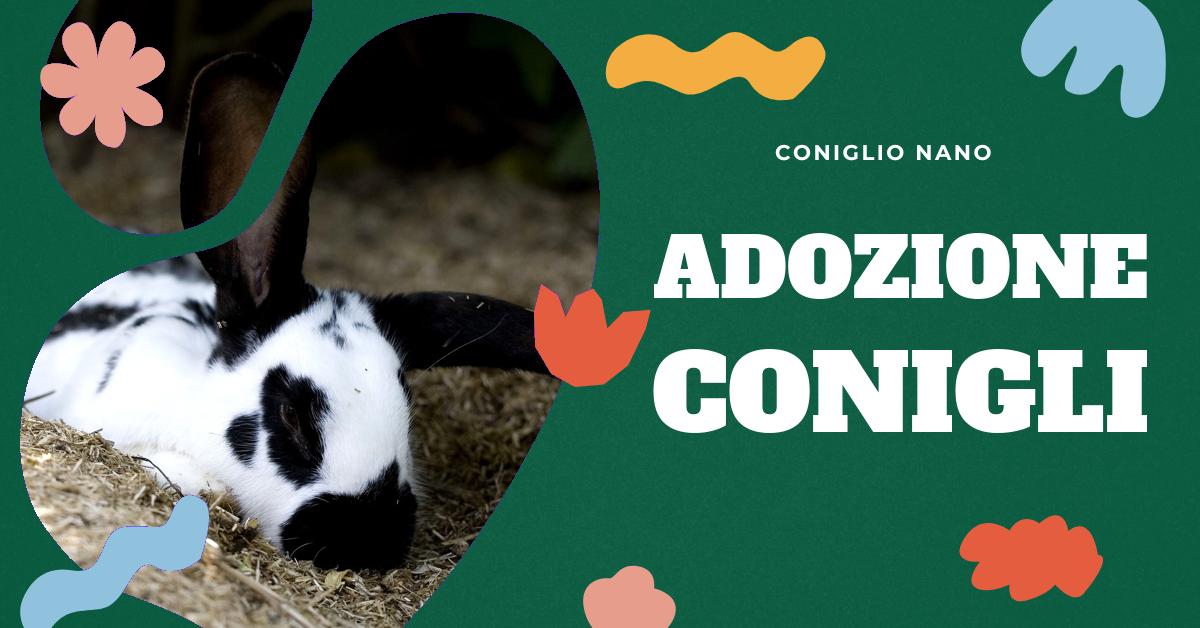 Scopri cosa aspettarti dal tuo primo coniglio da compagnia. Approfondisci la personalità dei conigli, impara a maneggiarli correttamente e a guadagnare la loro fiducia. Ottieni consigli utili su conigli e bambini e su come far diventare il coniglio un membro della famiglia.