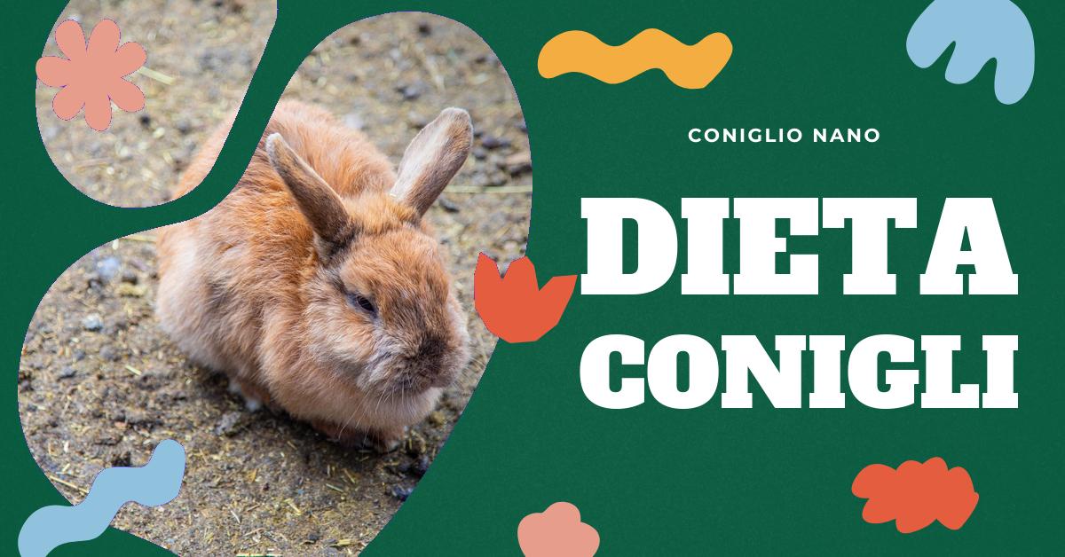 Scopri se i conigli possono mangiare le fragole e ottieni informazioni dettagliate sulla corretta alimentazione dei conigli nani. Approfondisci l