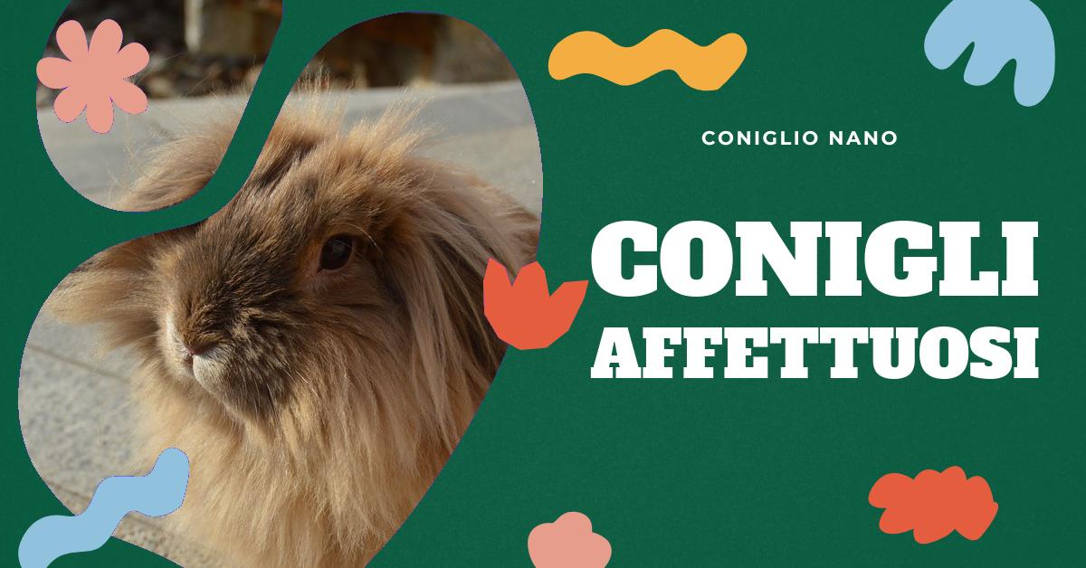 Scopri quali sono le razze di coniglio più affettuose, come scegliere quella giusta per te e come prendersi cura di loro. Trova informazioni su taglia, salute e genetica dei conigli domestici. Ideale per chi ama i conigli e vuole saperne di più.