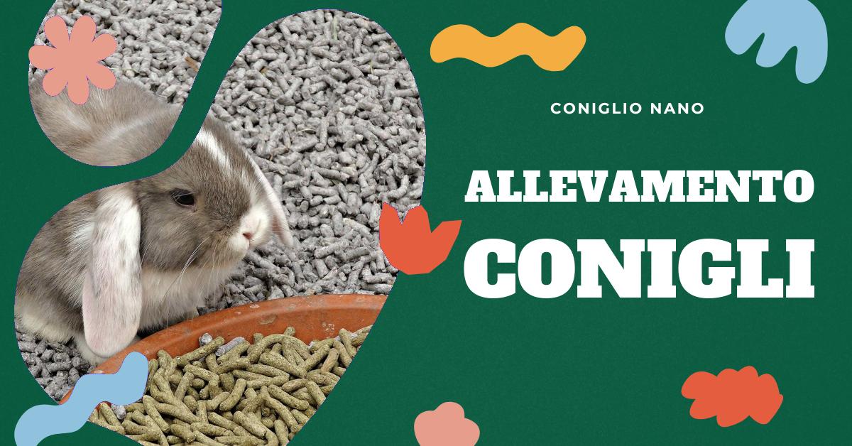 Scopri tutto quello che c