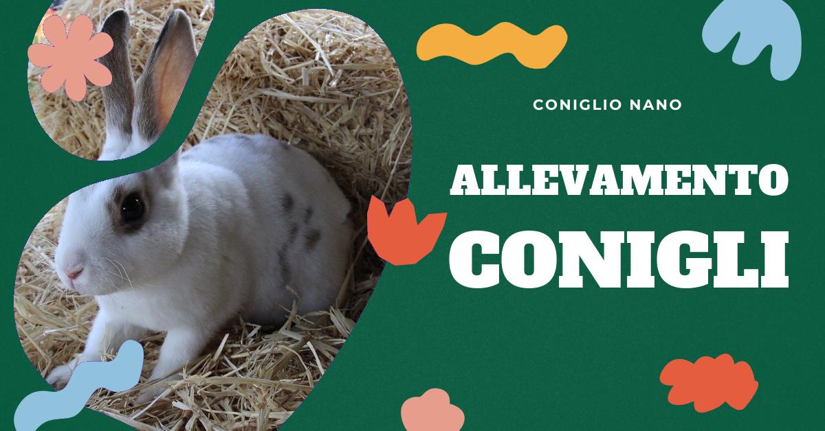 Scopri tutto quello che c