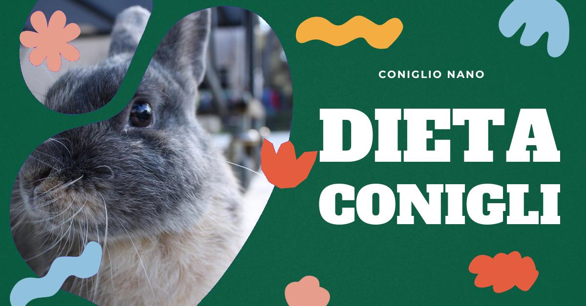 Scopri cosa mangia il coniglio nano per garantire una dieta equilibrata e sana. Informazioni dettagliate su fieno, frutta, verdura e pellet, oltre a consigli su cosa evitare per il benessere del tuo piccolo amico.