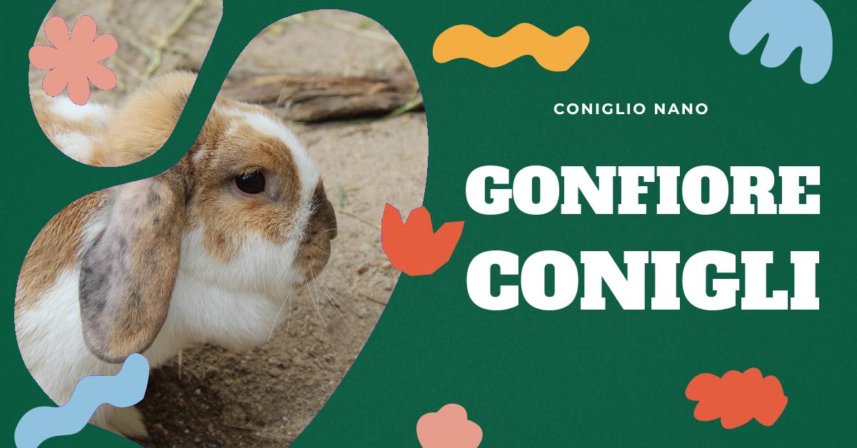 Scopri perché i conigli si gonfiano, le cause principali di gastroenteriti, le enteropatie e le misure di prevenzione. Ottieni informazioni su come mantenere l