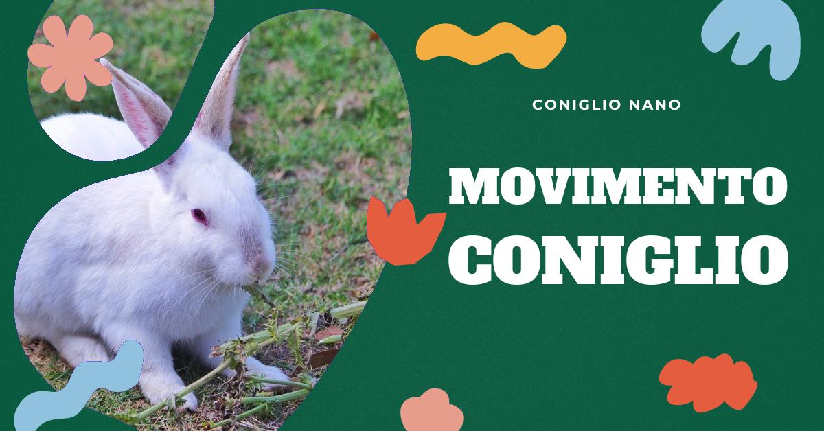 Scopri il termine specifico per il movimento del coniglio, capisci perché muovono sempre il naso e approfondisci le differenze tra il coniglio nano e il coniglio Ariete. Inoltre, esplora l
