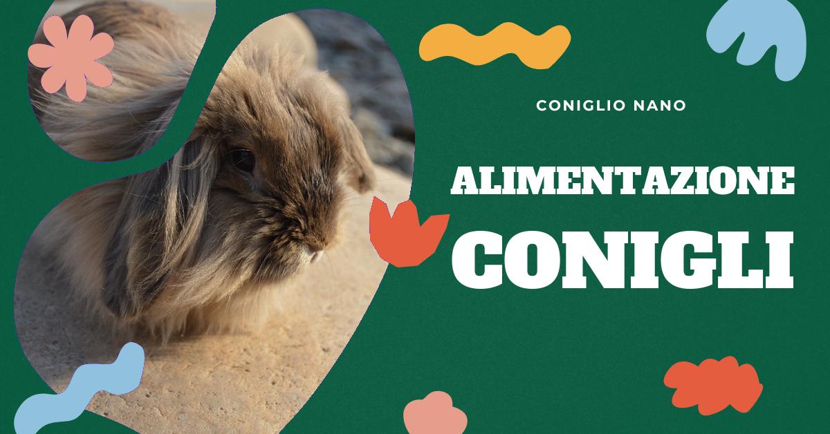 Scopri quali sono i migliori cibi per conigli nani, dai pellet al mangime Burgess Excel, al muesli e al veggy di Premium Nature. Trova consigli su alimenti sicuri e nutritivi per il tuo coniglietto e dove acquistarli online.