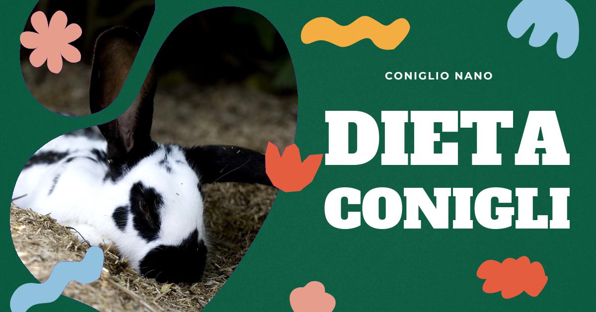 Scopri quali tipi di cibo sono più adatti per i tuoi conigli nani. Trova informazioni dettagliate su cibi di qualità, mangime in pellet, Burgess Excel, Premium Nature Muesli e Veggy. Ottieni consigli su come bilanciare la dieta del tuo coniglio nano per la sua salute e benessere.