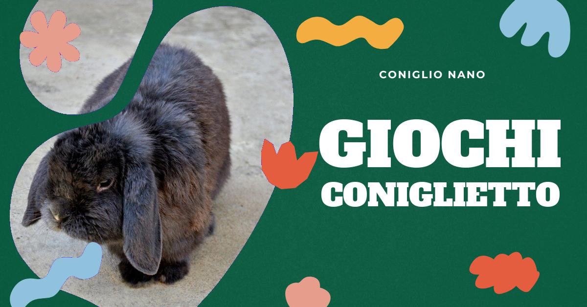 Scopri i giochi più stimolanti per l