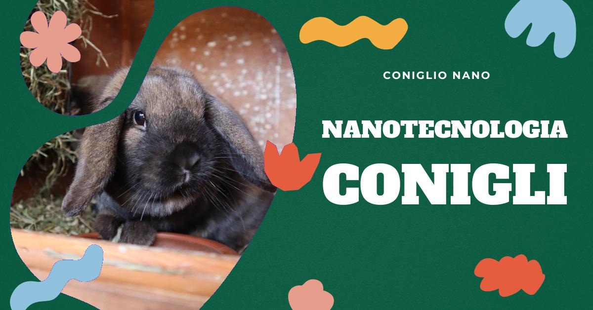 Scopri come la nanotecnologia può influenzare la riproduzione dei conigli. Approfondisci le ultime ricerche scientifiche, le applicazioni pratiche e le potenzialità future di questa tecnologia innovativa. Ideale per appassionati di conigli domestici, studenti e ricercatori.