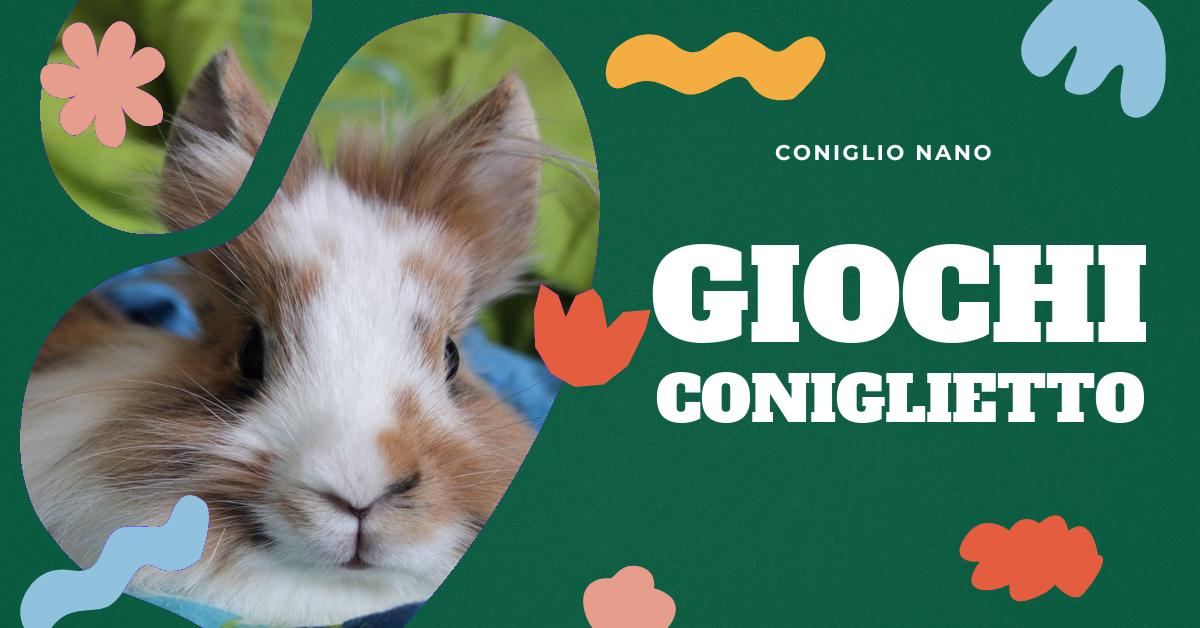 Scopri idee creative per giochi natalizi da fare con il tuo coniglio nano. Trova suggerimenti su regali adatti, decorazioni sicure, ricette di biscotti per conigli e consigli per un comodo lettino per i giorni più freddi. Coinvolgi il tuo amico peloso nel divertimento natalizio in modo sicuro e divertente.