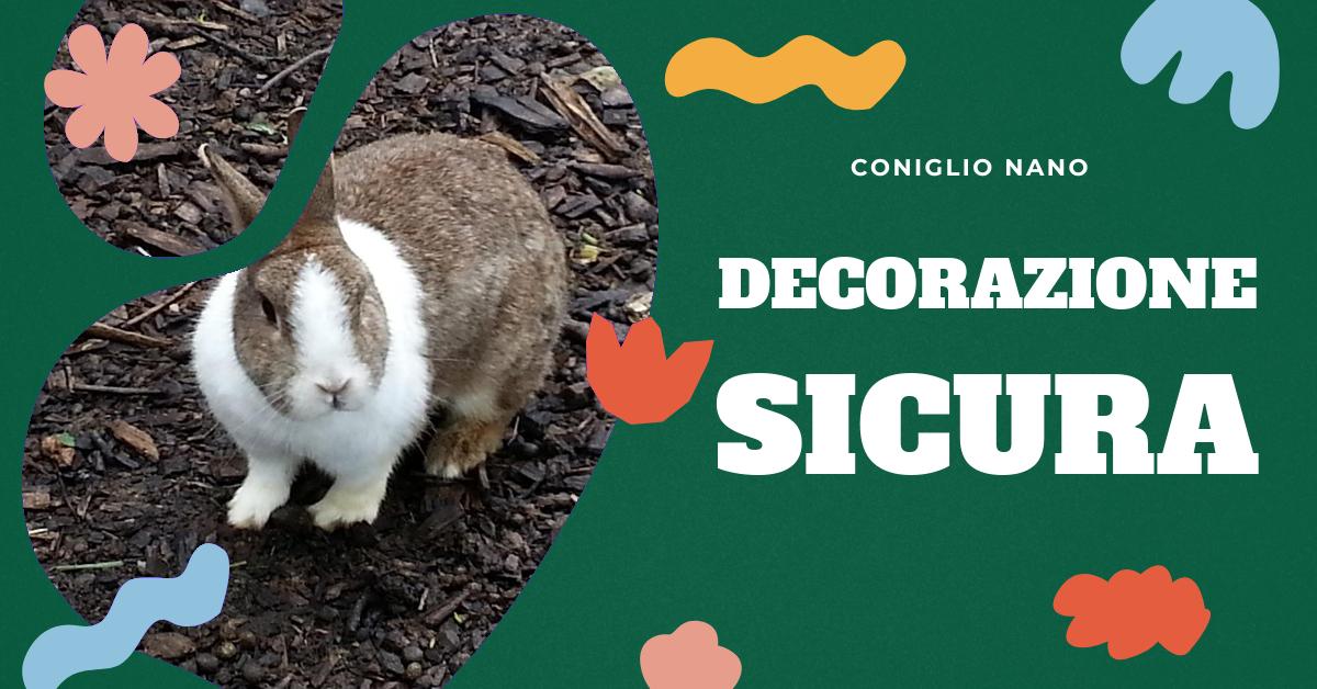 Scopri come decorare in modo sicuro la gabbia del tuo coniglio per Natale. Trova idee per regali adatti ai conigli, come creare un albero di Natale a prova di coniglio, ricette di biscotti natalizi per conigli e consigli per un comodo lettino per i giorni più freddi. Tutto per un Natale pieno di tenerezza con il tuo amato pet.
