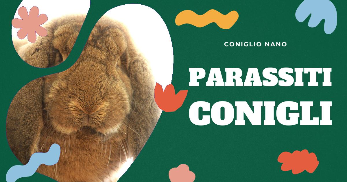 Scopri come riconoscere i segni di parassiti in un coniglio. Trova informazioni dettagliate sui parassiti esterni più comuni nei conigli, come le pulci e gli acari, e su come trattarli e prevenirli. Ottieni consigli su come mantenere il tuo coniglio domestico sano e felice.