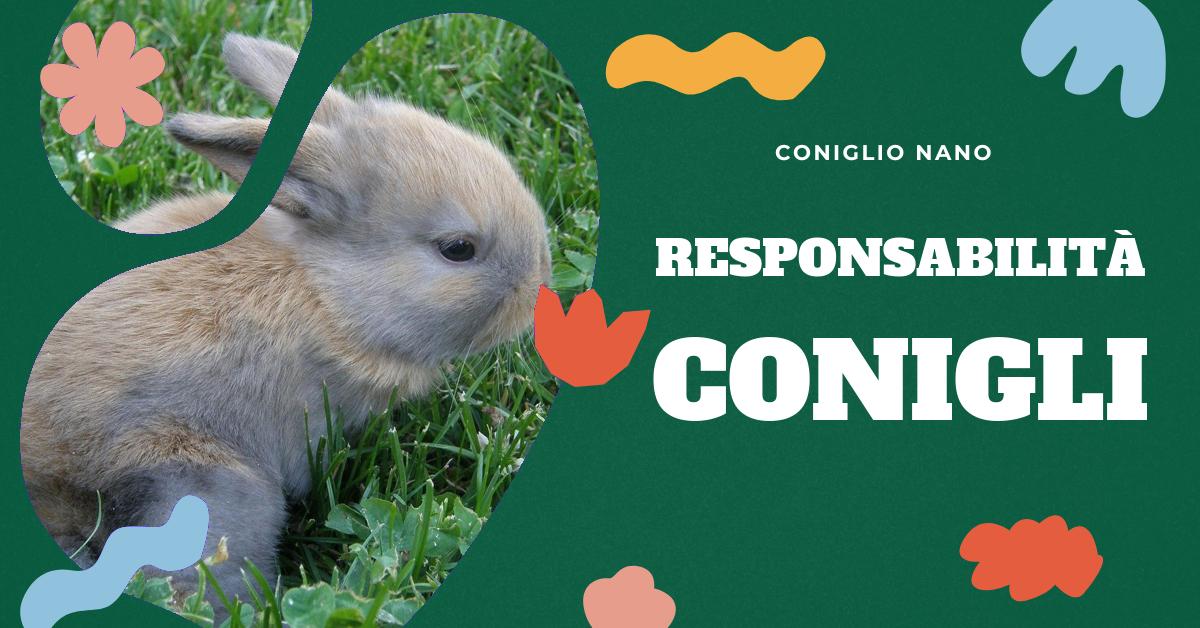 Scopri perché non prendere un coniglio potrebbe essere la scelta giusta per te. Approfondisci le sfide legate alla crescita dei conigli, le cure specializzate necessarie, la sterilizzazione e il loro comportamento. Informazioni utili per chi sta considerando di adottare un coniglio domestico.