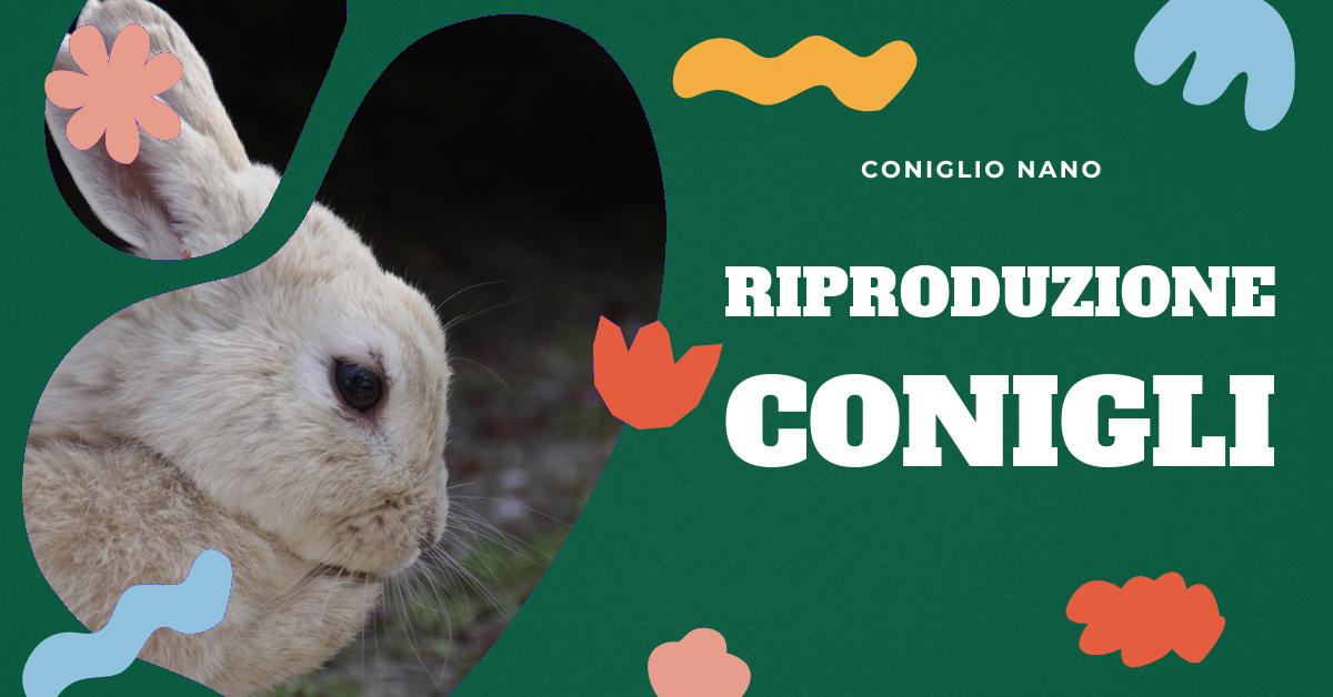 Scopri quanti cuccioli fa un coniglio in una singola cucciolata. Approfondisci la biologia e il comportamento riproduttivo dei conigli, scopri perché si dice fare figli come conigli e impara più sul loro doppio utero e la loro fecondità in giovane età. Ideale per appassionati di conigli domestici e chi cerca informazioni sulla riproduzione dei conigli.