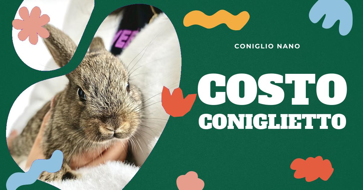 Scopri quanto può costare un coniglio nano, dal prezzo di acquisto ai costi di mantenimento, cibo e cure veterinarie. Ottieni informazioni dettagliate per pianificare il tuo budget e assicurare il benessere del tuo piccolo amico.