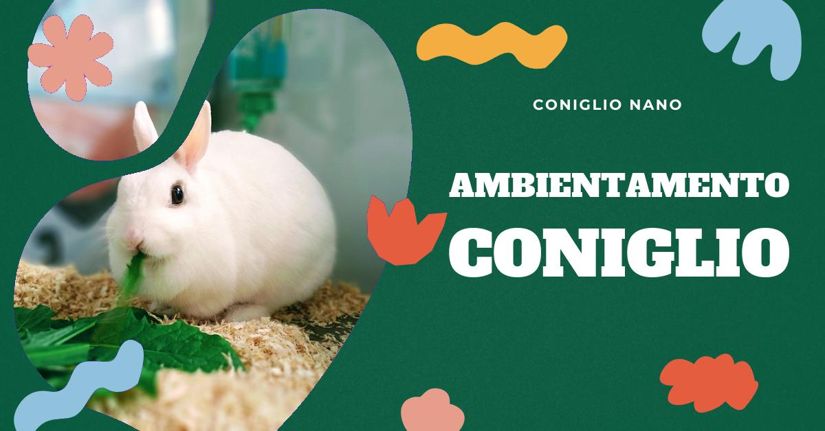 Scopri come ambientare il tuo coniglio nano in un nuovo spazio abitativo con i nostri consigli pratici. Trova informazioni sulla durata media di vita, i fattori che influenzano la longevità e come garantire una vita lunga e serena al tuo coniglio nano. Inoltre, esplora le domande frequenti sui conigli nani e la nostra sezione sull