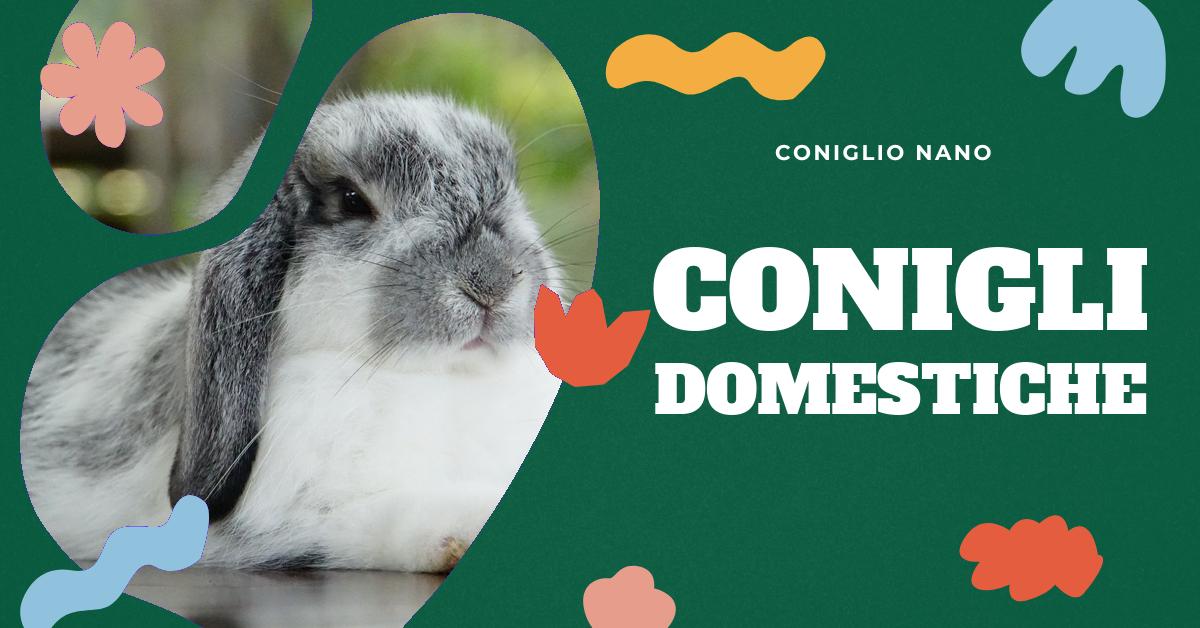 Scopri le diverse razze di conigli, le loro caratteristiche distintive e come scegliere quella più adatta a te. Trova consigli utili per l