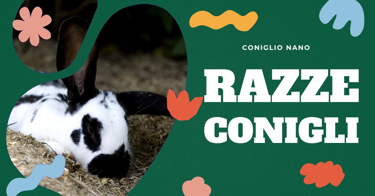 Scopri i diversi tipi di conigli, dalle razze più popolari alle più rare. Approfondisci le loro caratteristiche e trova consigli utili per scegliere il coniglio più adatto a te. Ideale per gli amanti dei conigli domestici e per chi cerca informazioni dettagliate.