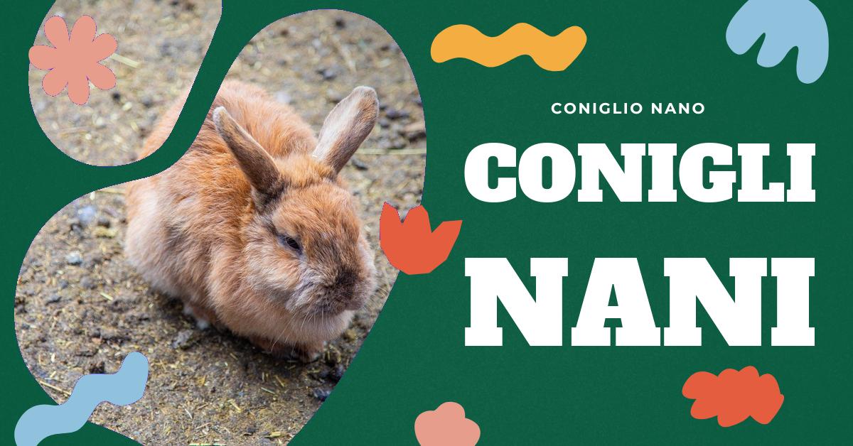 Scopri le diverse razze di conigli di piccole dimensioni come il criceto cinese, il coniglio Turingia e il coniglio giapponese. Approfondisci le loro caratteristiche fisiche, il peso e le curiosità. Ideale per appassionati di conigli o chi sta pensando di adottarne uno.