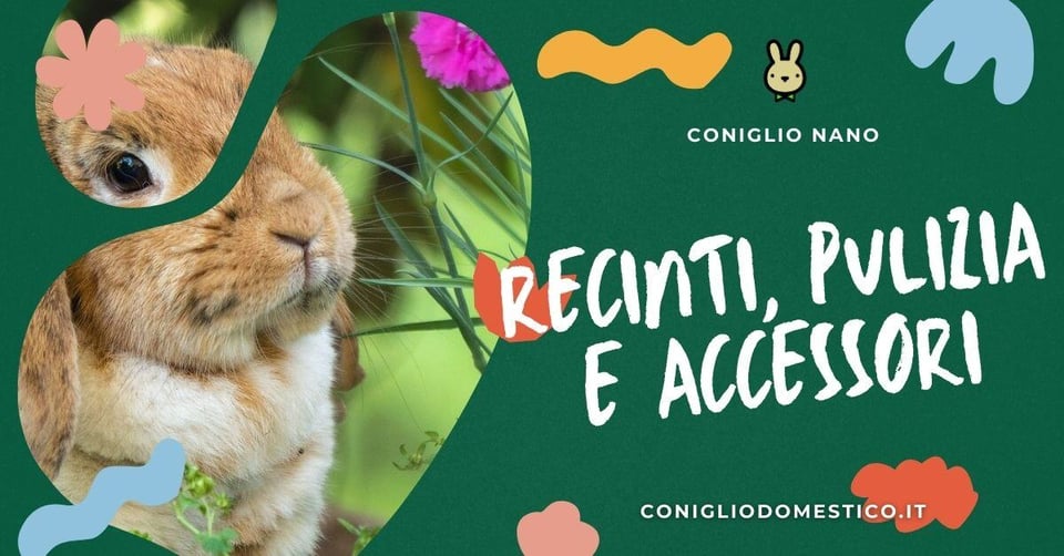 recinti-pulizia-e-accessori-conigli
