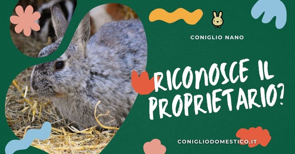 riconosce-il-proprietario