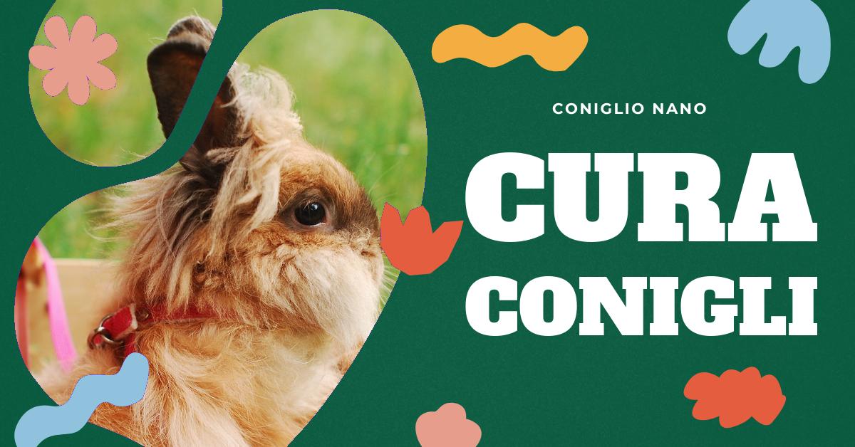 Scopri come riconoscere e curare il raffreddore nel tuo coniglio domestico. Trova informazioni su sintomi, diagnosi, terapie farmacologiche e rimedi casalinghi per la rinite nel coniglio. Impara a prevenire il raffreddore nel tuo piccolo amico.