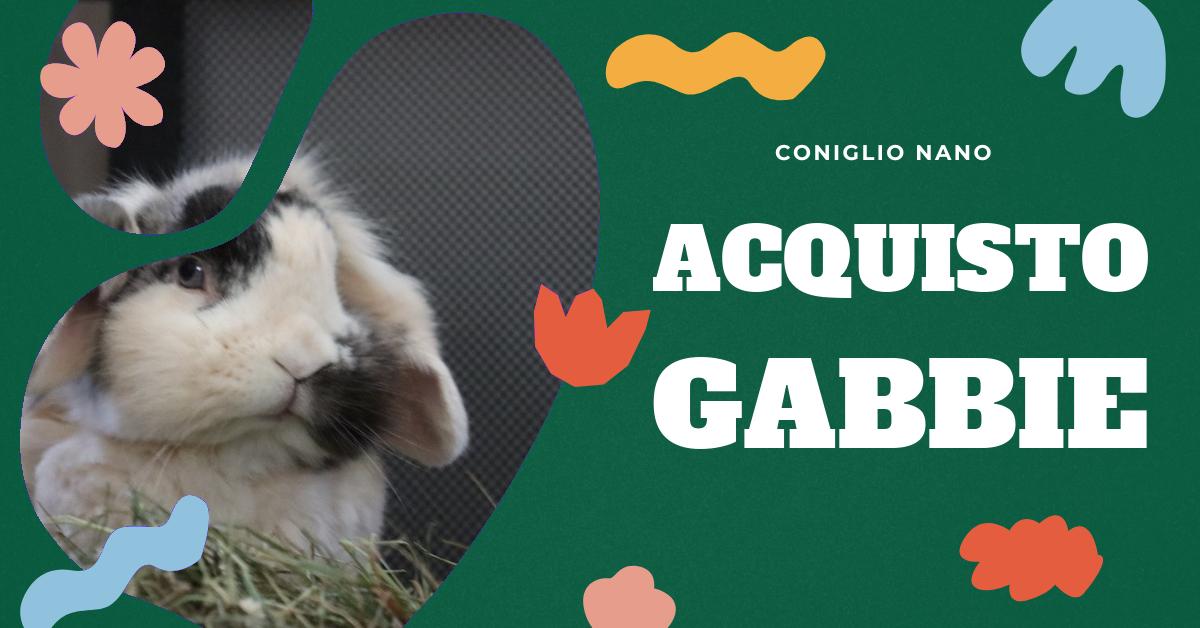 Scopri la nostra selezione di gabbie per conigli nani, con consigli su come scegliere la gabbia perfetta per il tuo animale domestico. Trova recensioni dettagliate, confronta i prezzi e scopri cosa considerare prima di fare il tuo acquisto.
