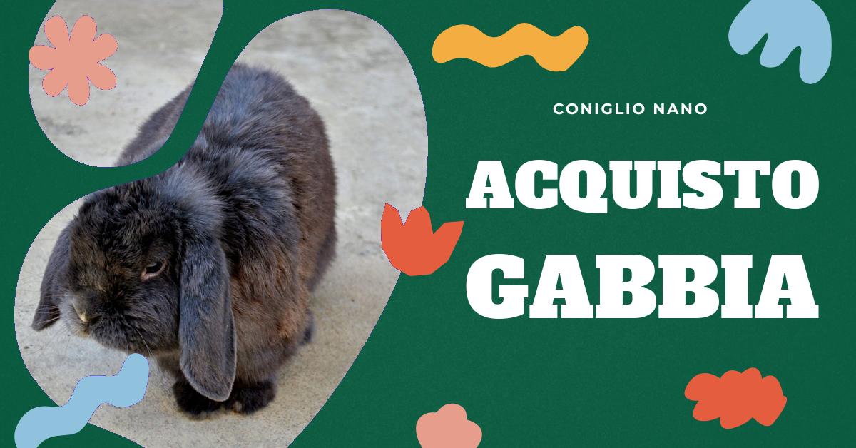 Scopri le migliori gabbie per conigli nani, confronta prezzi e recensioni, e trova la soluzione ideale per il tuo animale domestico. Consigli utili per l