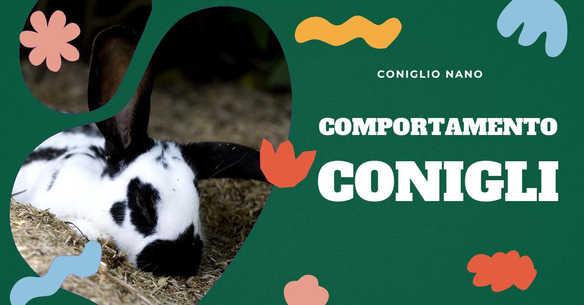 Scopri cosa significa quando i conigli si sdraiano e altri comportamenti comuni dei conigli. Ottieni informazioni dettagliate sul significato di questi comportamenti e quando potrebbe essere necessario consultare un veterinario. Ideale per gli amanti dei conigli domestici che cercano di capire meglio i loro piccoli amici.