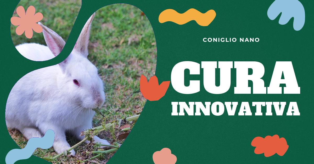 Scopri le tecniche innovative per la cura dei conigli, le ultime tendenze e soluzioni avanzate per il benessere dei tuoi amici a quattro zampe. Partecipa a DemoGreen, l